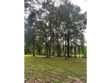 24 ACRES OF GENTLE ROLLING HILLS ON CLEARED LAND. THE HOUSE IS - photo 21