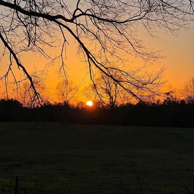 24 ACRES OF GENTLE ROLLING HILLS ON CLEARED LAND. THE HOUSE IS - photo 22