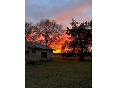 24 ACRES OF GENTLE ROLLING HILLS ON CLEARED LAND. THE HOUSE IS - photo 23