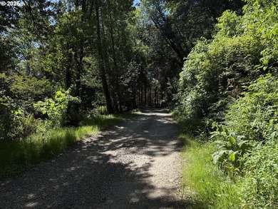 Discover the potential of this private 5-acre retreat nestled - photo 2
