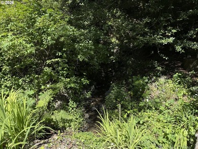 Discover the potential of this private 5-acre retreat nestled - photo 4