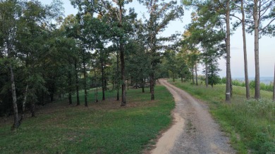 WELCOME TO 301 STORY CREEK ROAD- A BEAUTIFUL 5.09+/- ACRE - photo 12