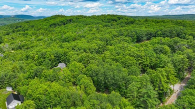 Positioned perfectly between the slopes and the lakes, 57 Town - photo 17