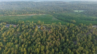 WELCOME TO 301 STORY CREEK ROAD- A BEAUTIFUL 5.09+/- ACRE - photo 22