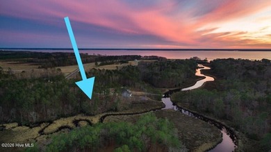 NO FLOOD INSURANCE REQUIRED! Marsh view. Expired septic permit - photo 2