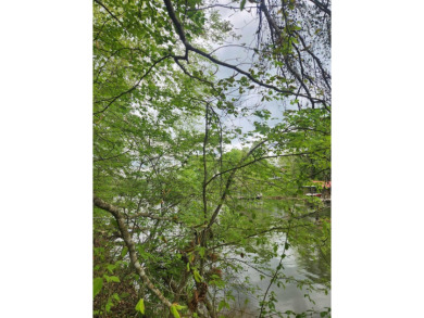 Piney River Lot For Sale in Spring City Tennessee