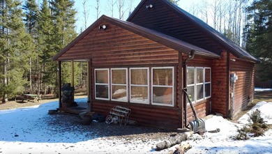 (private lake, pond, creek) Home Active Under Contract in Lachine Michigan