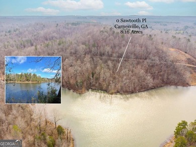(private lake, pond, coastal) Acreage For Sale in Carnesville Georgia