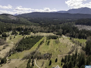 Lake Acreage For Sale in Sequim, Washington