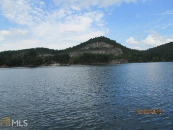 Lake Lot Off Market in Ellijay, Georgia