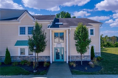 Lake Erie - Lorain County Condo For Sale in Lorain Ohio