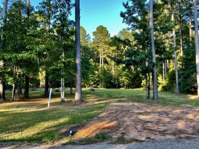 Lake Lot For Sale in Pachuta, Mississippi