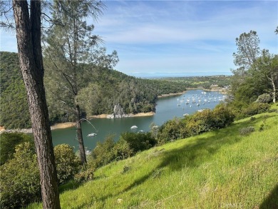 Lake Acreage For Sale in Oroville, California