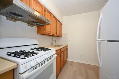 Semi-detached brick 2-family in prime Flushing, across from - photo 4