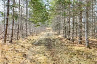 Rare opportunity to own a truly unique Northwoods retreat on - photo 7