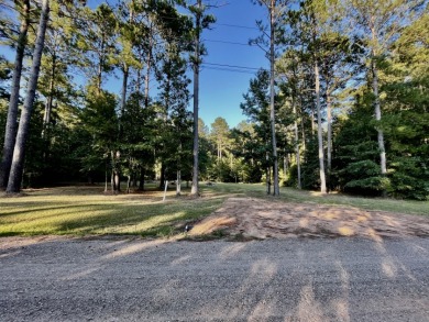 Beautiful Level Wooded Lot Ready To Build On - photo 2