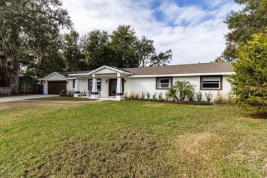 Lake Home For Sale in Tavares, Florida