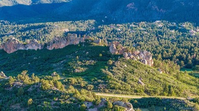 Discover an extraordinary opportunity to own a premier homesite - photo 11