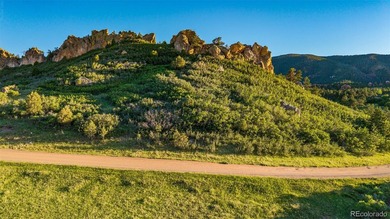 Discover an extraordinary opportunity to own a premier homesite - photo 16