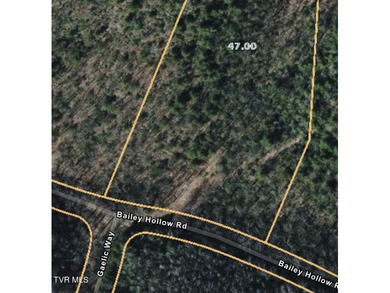 Nolichucky River Acreage For Sale in Erwin Tennessee
