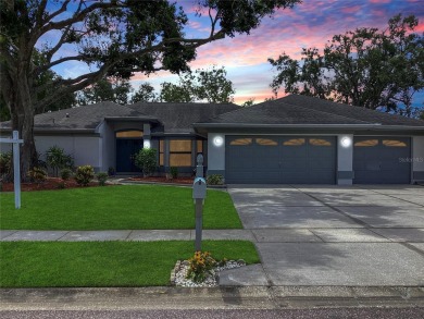 Lake Home For Sale in Oldsmar, Florida