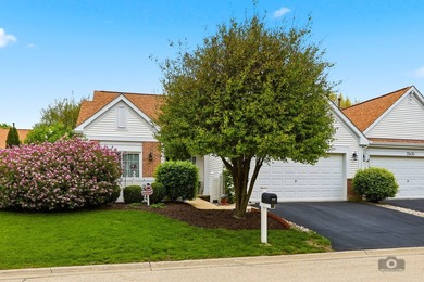 (private lake, pond, creek) Townhome/Townhouse For Sale in Plainfield Illinois