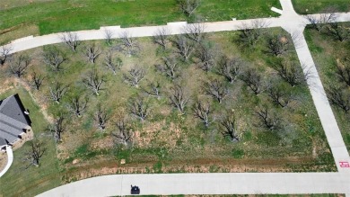 Lake Granbury Lot For Sale in Granbury Texas