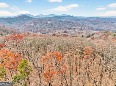 Beautiful lot with an available house plan and building location - photo 13