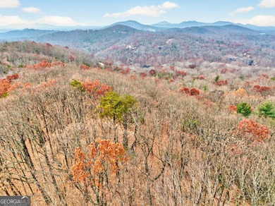 Beautiful lot with an available house plan and building location - photo 14