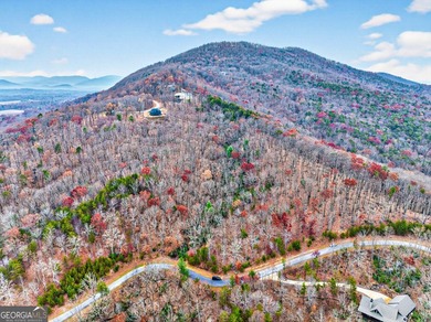 Beautiful lot with an available house plan and building location - photo 16