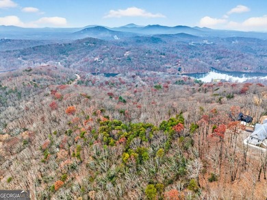 Beautiful lot with an available house plan and building location - photo 18