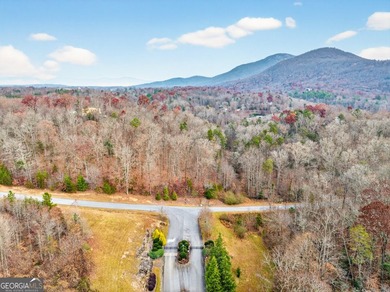 Beautiful lot with an available house plan and building location - photo 25