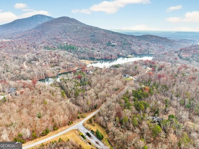 Beautiful lot with an available house plan and building location - photo 27