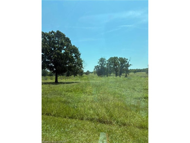 Escape to your own slice of paradise with this stunning 20-acre - photo 4