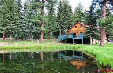  Home For Sale in Vallecito Lake Colorado
