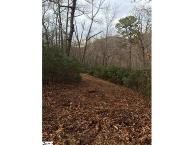 Nestled in the mountains just minutes from Greenville, SC, make - photo 1