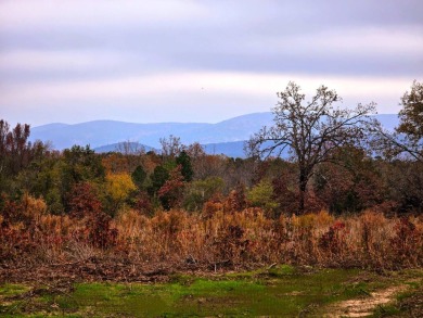 Lake Acreage For Sale in Muse, Oklahoma