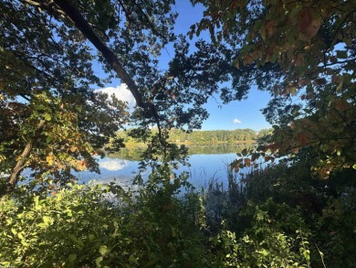 Lake Acreage For Sale in Leonard, Michigan