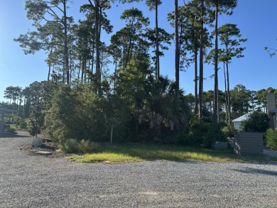 Lake Lot ActiveUnderContr in Sopchoppy, Florida