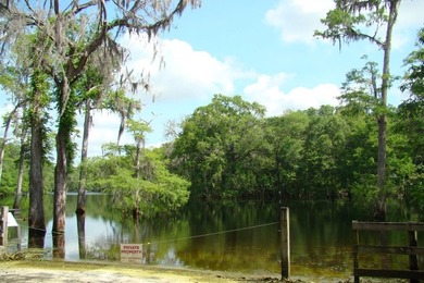 Suwannee River Lot For Sale in Branford Florida