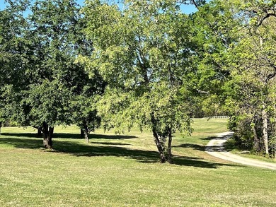 Vinita Hill Farm is one of those properties that rarely come to - photo 10