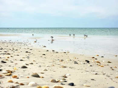 Unlock the full potential of this prime 24.2-acre development - photo 19