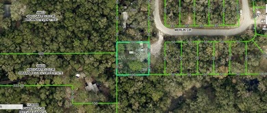 Withlacoochee River Lot For Sale in Ridge Manor Florida