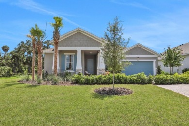 Lake Home Sale Pending in Parrish, Florida