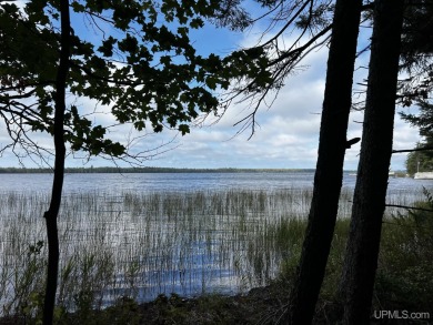 Lake Lot Off Market in Gould City, Michigan