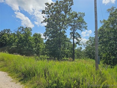 Discover more than 18 acres of beautiful wooded property at the - photo 11