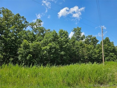 Discover more than 18 acres of beautiful wooded property at the - photo 12