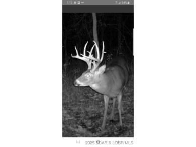 Discover more than 18 acres of beautiful wooded property at the - photo 13