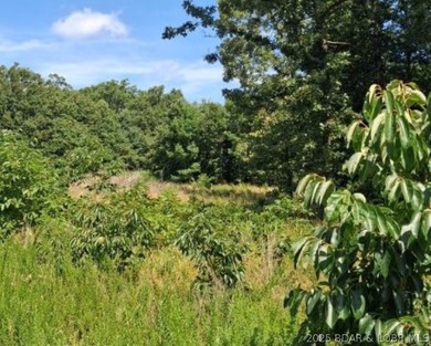 Discover more than 18 acres of beautiful wooded property at the - photo 14