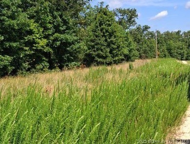 Discover more than 18 acres of beautiful wooded property at the - photo 15